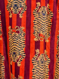 Kesari Baagh Detail 3