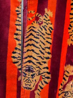 Kesari Baagh Detail 4