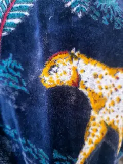 Neel Chhalang Detail 3